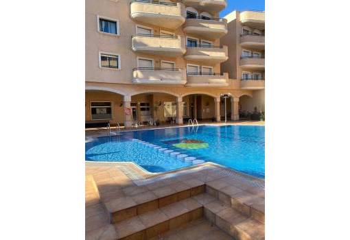 Apartment - Rental - Orihuela Coast - Aguamarina