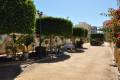 Sale - Maison de ville / Duplex - Orihuela Costa - Aguamarina